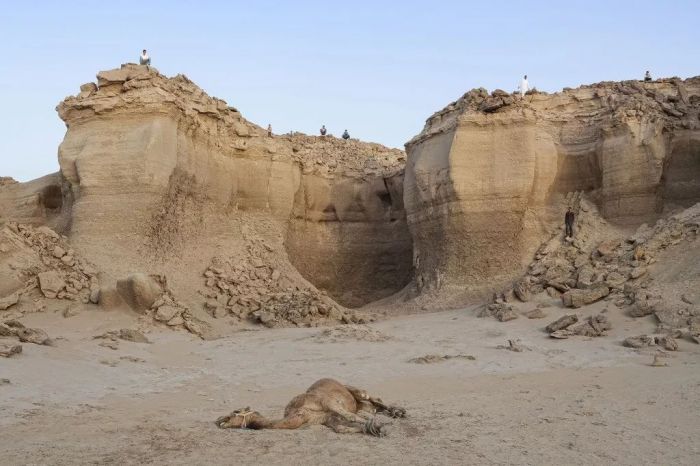 无处安身的意思 无处安身到处流浪的成语是什么