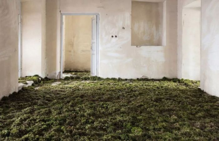 无处安身的意思 无处安身到处流浪的成语是什么图1