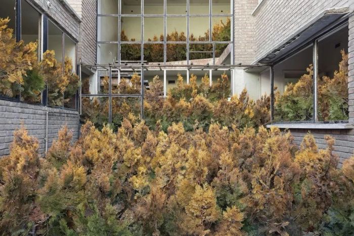 无处安身的意思 无处安身到处流浪的成语是什么