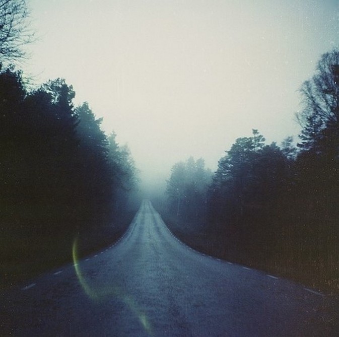 宝丽来影集 宝丽来the button