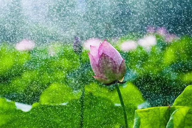 请问雨天 雨天live