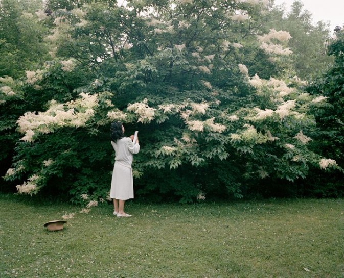 少女漫游大全 少女漫的套路