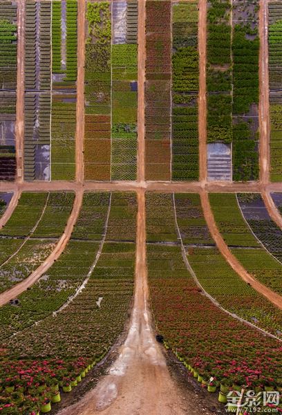 得克萨斯知乎 得克萨斯是哪个国家