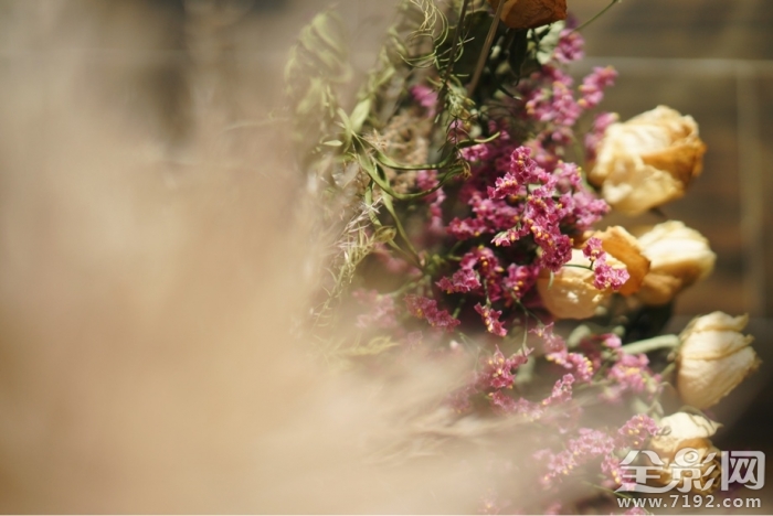 干花也是一种美丽的花 干花又称什么花图1