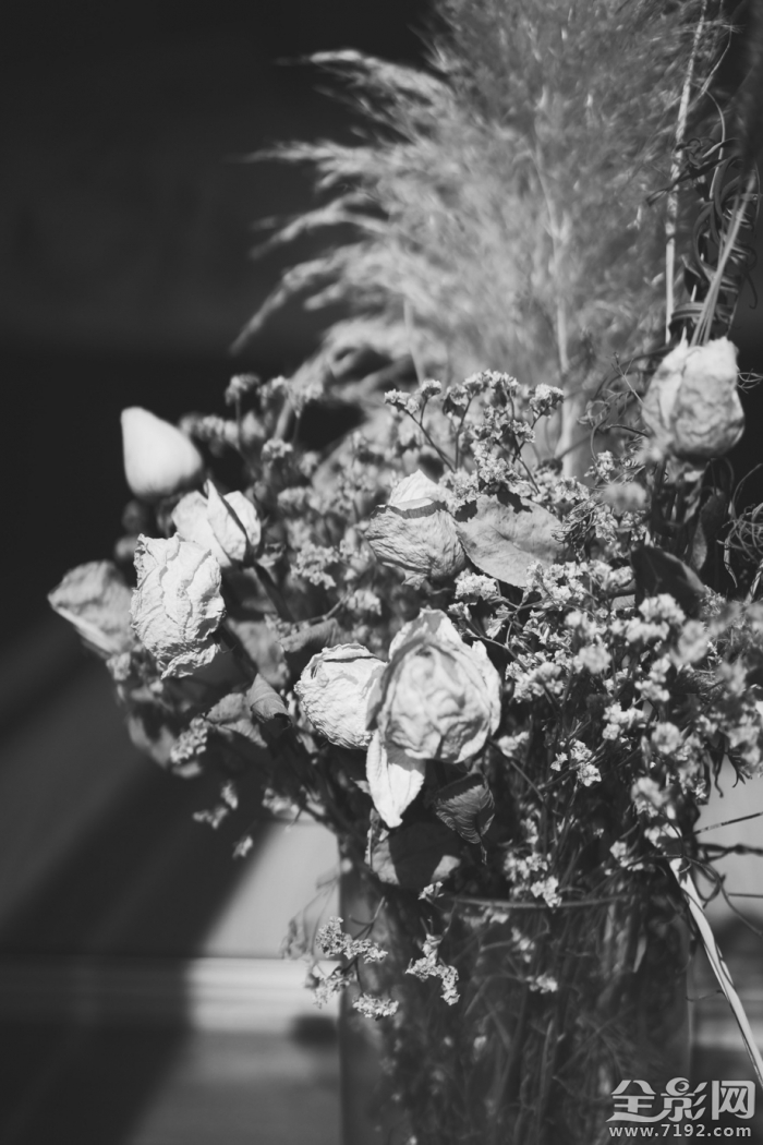 干花也是一种美丽的花 干花又称什么花图3