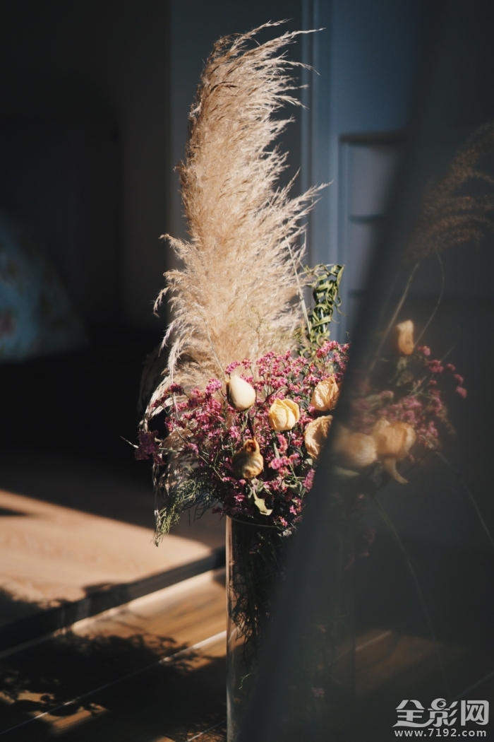 干花也是一种美丽的花 干花又称什么花