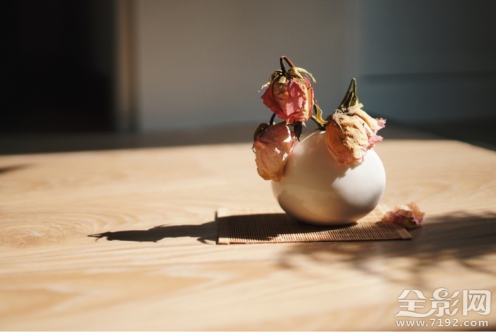 干花也是一种美丽的花 干花又称什么花