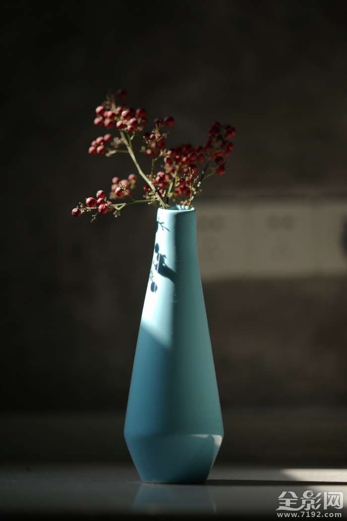 干花也是一种美丽的花 干花又称什么花