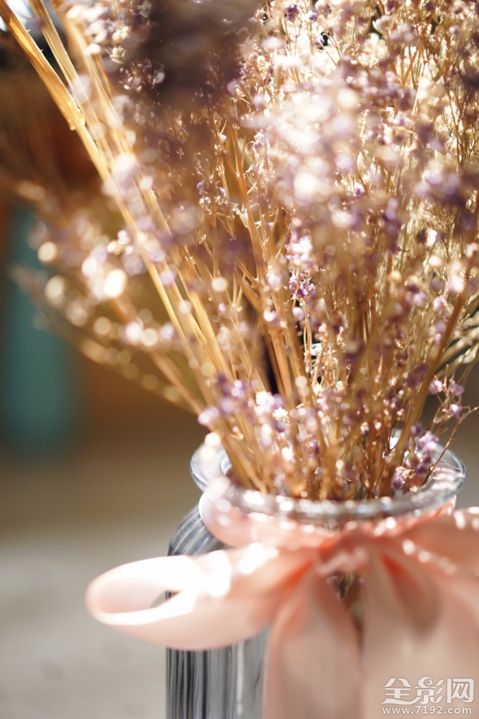 干花也是一种美丽的花 干花又称什么花