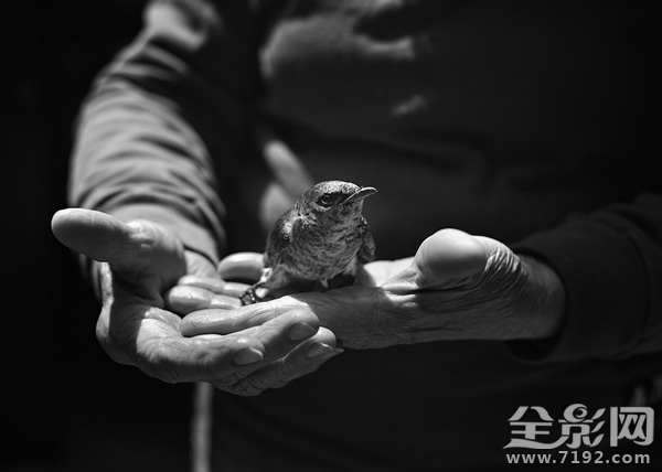 每一个生命的诞生都是上天的赐予 每个生命都是神圣的图1