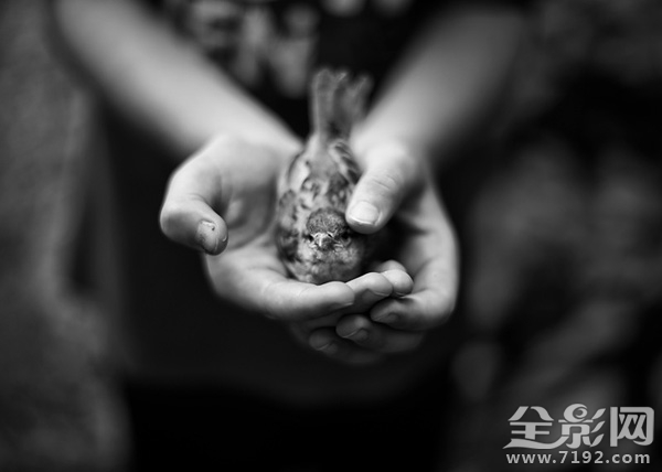 每一个生命的诞生都是上天的赐予 每个生命都是神圣的