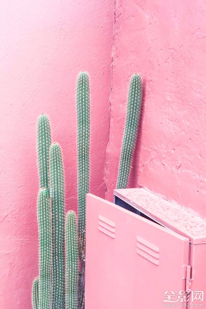 极简主义摄影作品欣赏图片 极简主义 摄影