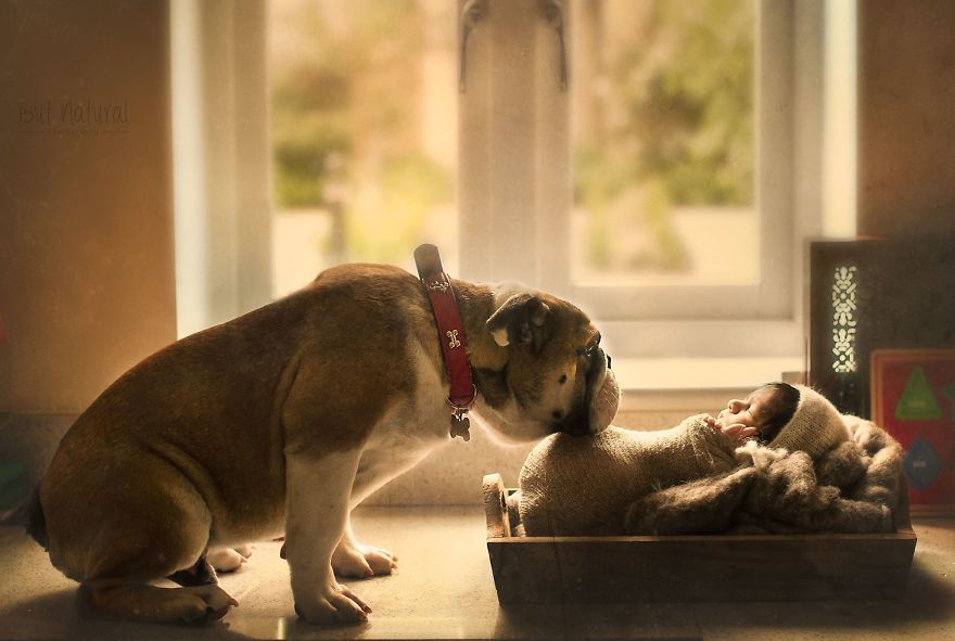 婴儿摄影布光图解 婴儿摄影创意