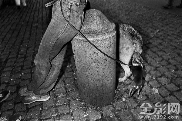 一部关于生活与奋斗的城市舞台剧叫什么 关于城市生活的电视剧图2