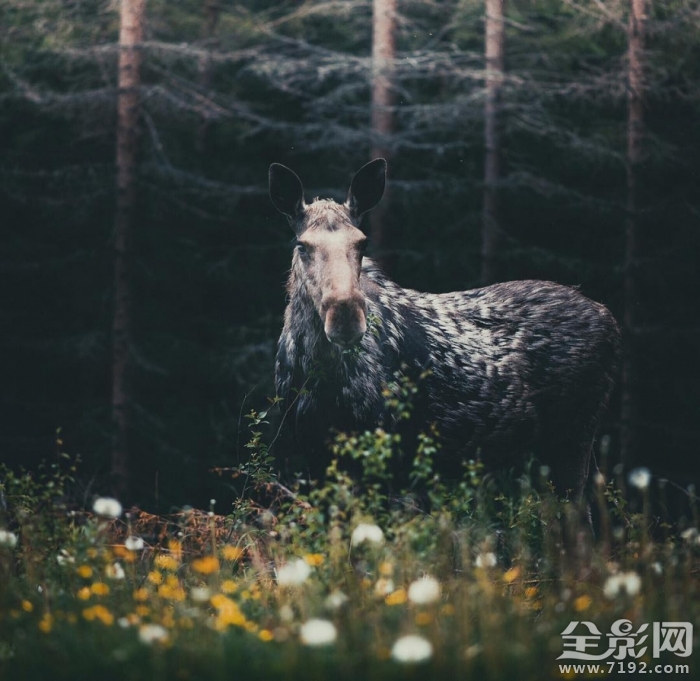 旅行在路上文案 旅行在路上歌词图1