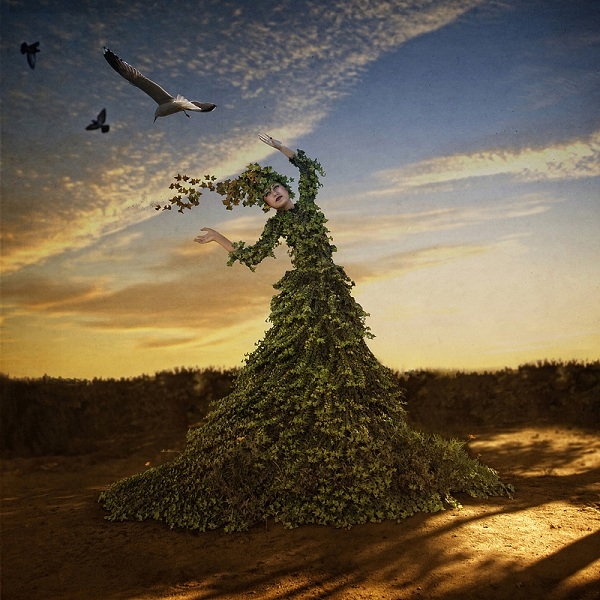 摄影色彩创意作品 摄影艺术作品展图3