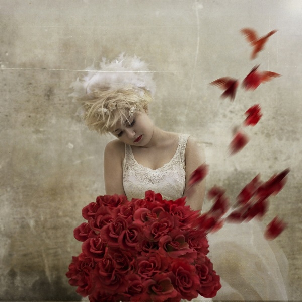 摄影色彩创意作品 摄影艺术作品展