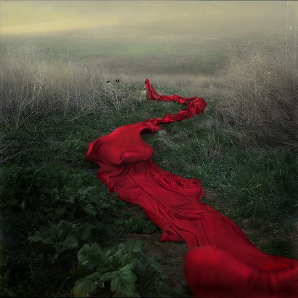 摄影色彩创意作品 摄影艺术作品展