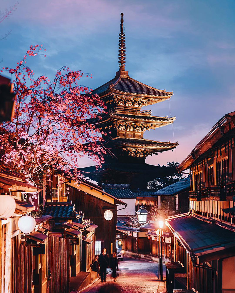 日本古建筑樱花 日本樱花圣地城市