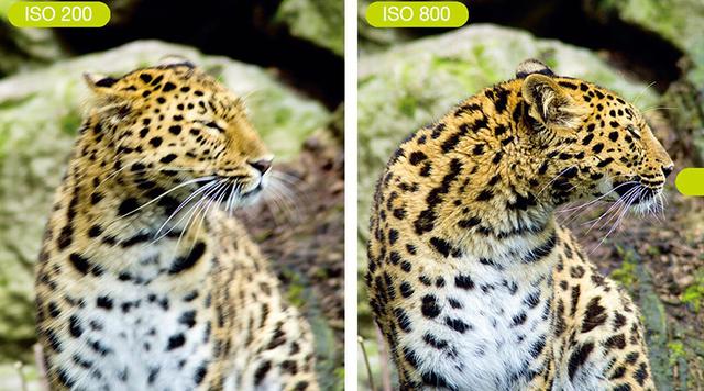 照片拍虚了如何处理 照片拍虚了后期能弄清晰吗图3