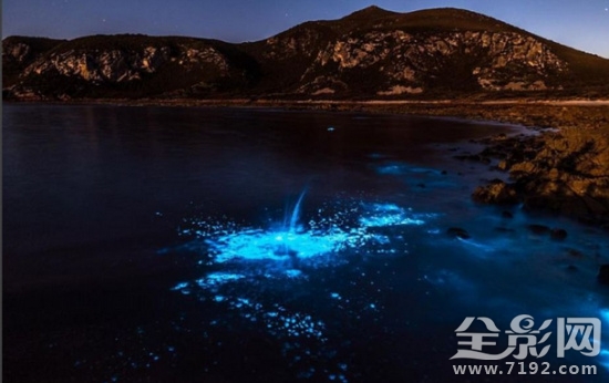 海洋里的极光 摄影作品极光图1