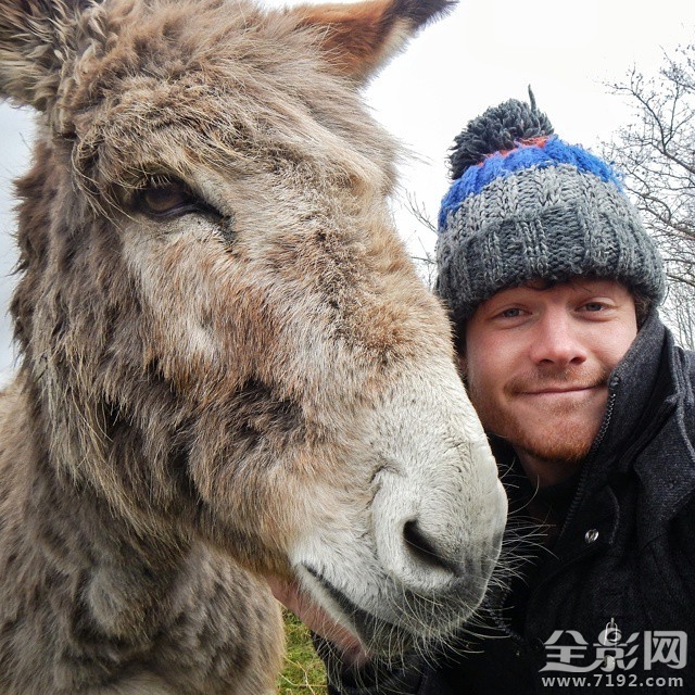 最搞笑的人与动物自拍视频 人与动物的搞笑对话图3