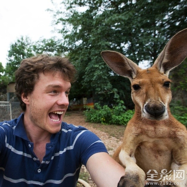 最搞笑的人与动物自拍视频 人与动物的搞笑对话