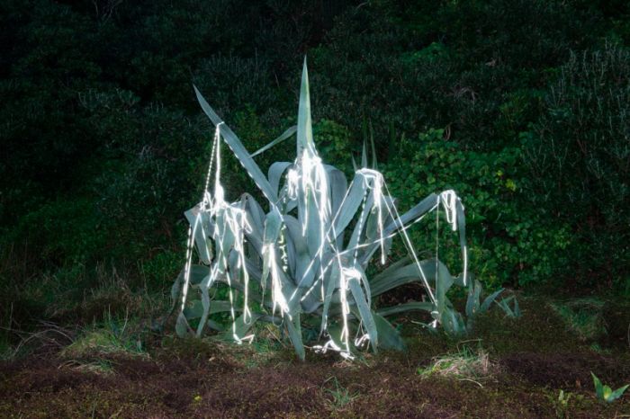 另一种景色的另词性 另一种风景作文