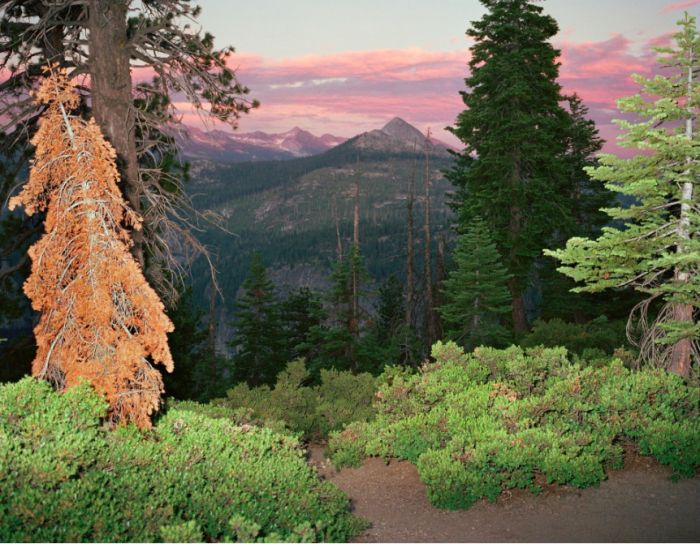 另一种景色的另词性 另一种风景作文