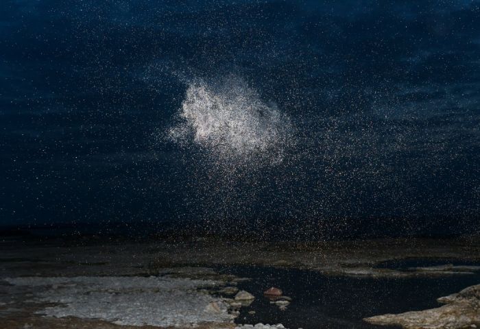 另一种景色的另词性 另一种风景作文图2