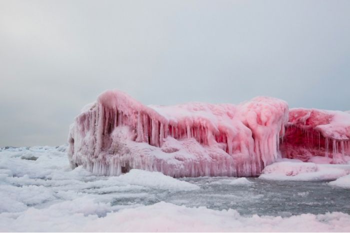 另一种景色的另词性 另一种风景作文