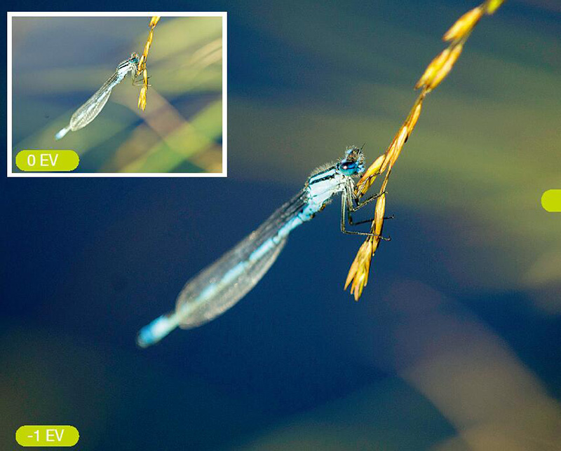 避免曝光与色彩的6大失误是什么 避免曝光失常的方式图2