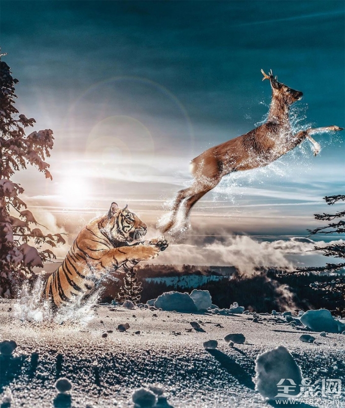 超现实主义作品欣赏感悟 超现实主义 作品