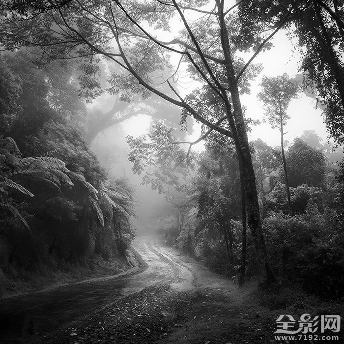 极简黑白风格的风光作品图片 极简黑白设计