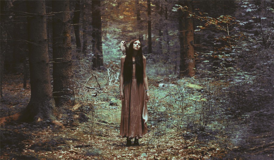 埃及摄影获奖作品 埃及元素设计