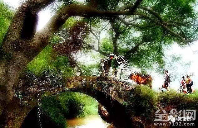 春意桥简介 春意谷试听图1