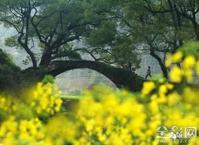 春意桥简介 春意谷试听图3