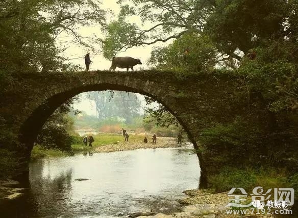 春意桥简介 春意谷试听