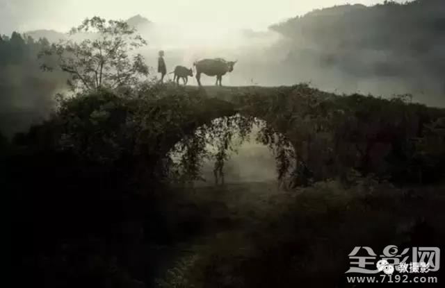 春意桥简介 春意谷试听