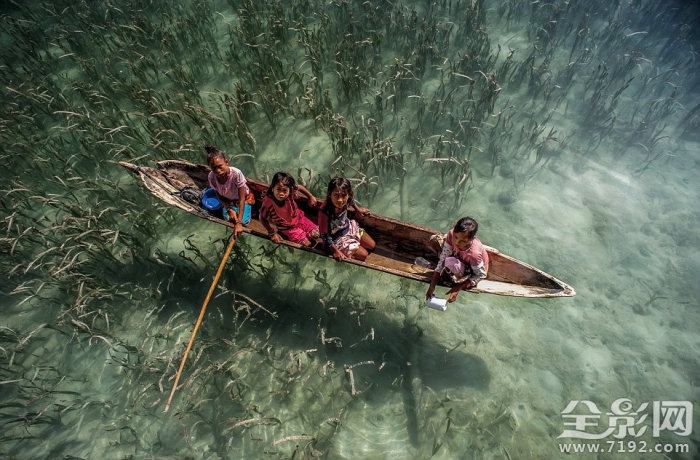 巴瑶族人的海洋人生 巴瑶族百度百科
