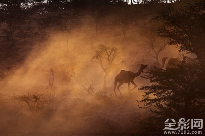 印度 摄影 印度风景