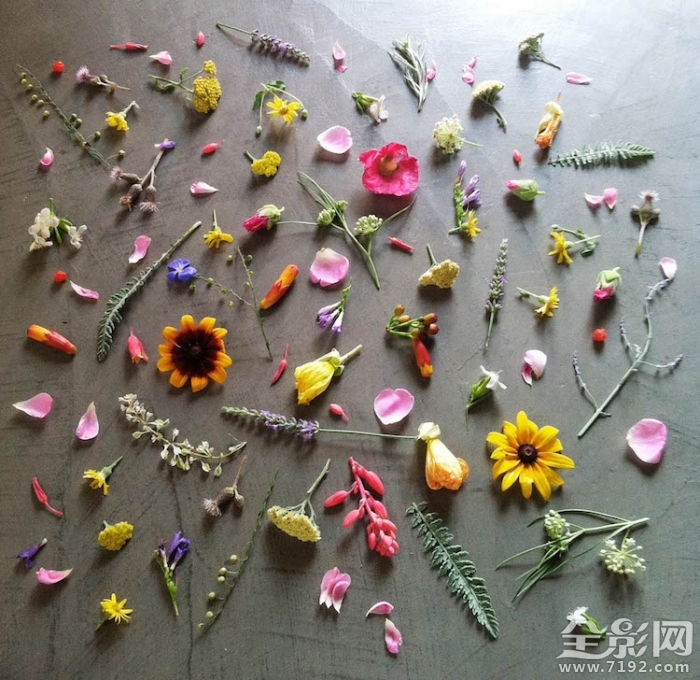 颜色强迫症很难受 颜控强迫症图2