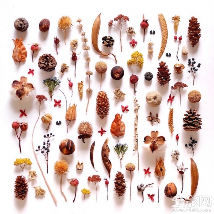 颜色强迫症很难受 颜控强迫症图3