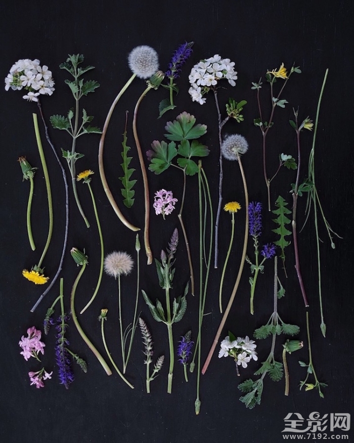 颜色强迫症很难受 颜控强迫症