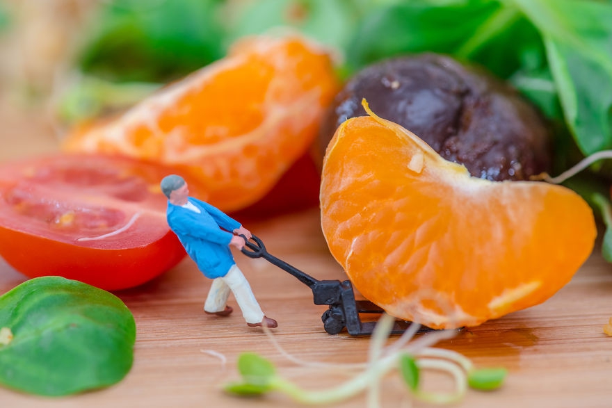 美食玩具的图片 美食 玩乐 活动指南