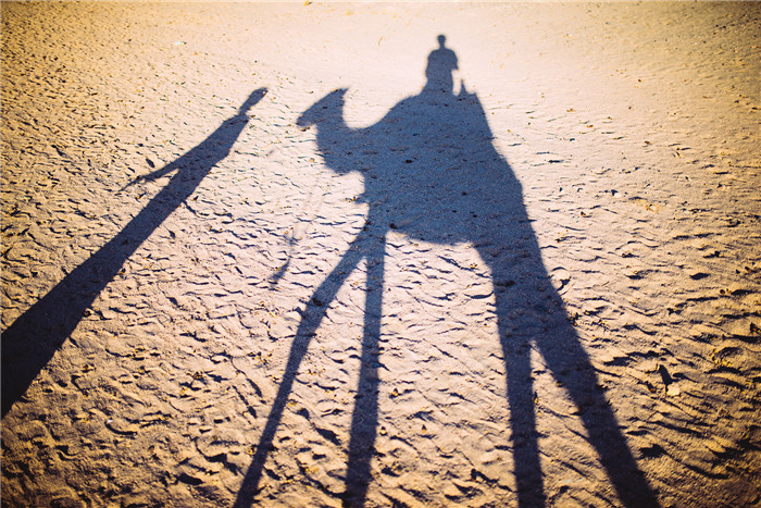 肥皂盒到底能不能柔光呢 肥皂盒柔光效果怎么样图2