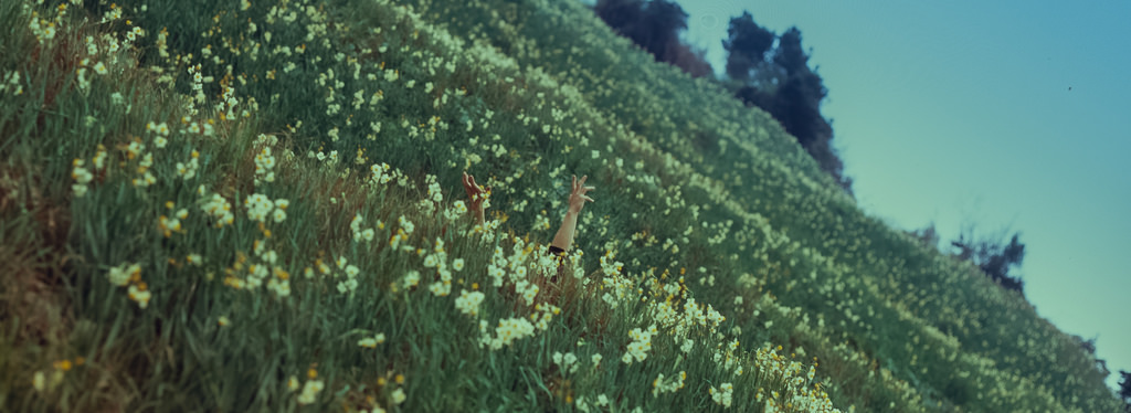 忘记电影的名字怎么办 忘了自己的电影