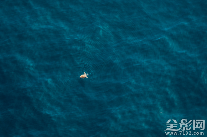 镜头里的人与自然和谐相处 镜头下怎么表现的自然图2