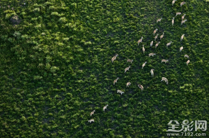 镜头里的人与自然和谐相处 镜头下怎么表现的自然