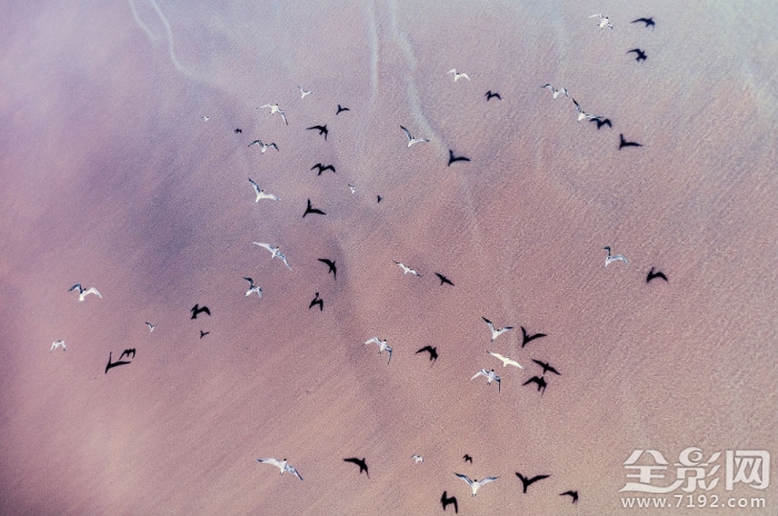镜头里的人与自然和谐相处 镜头下怎么表现的自然